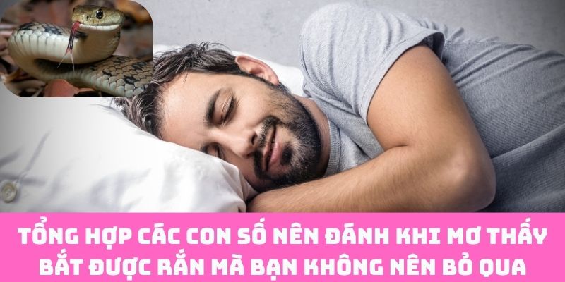 Gợi ý con số phát tài từ giấc mơ bắt rắn