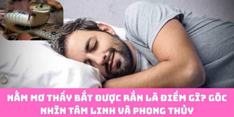 Bắt được rắn trong mơ: Báo hiệu gì theo tâm linh?