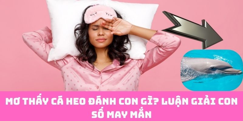 Mơ cá heo đánh số gì? Giải mã vận may qua giấc mơ