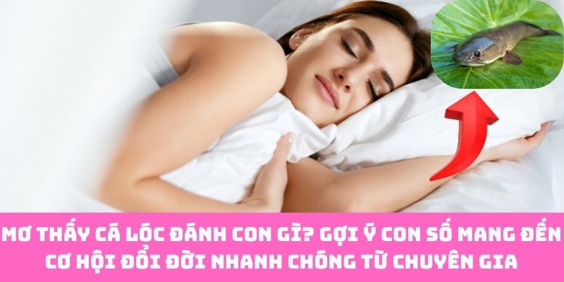 Thấy Cá Lóc Trong Mơ – Chốt Ngay Cặp Số “Đổi Đời”