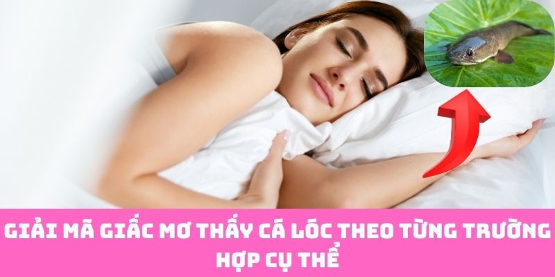 Thấy Cá Lóc Trong Mơ: Từng Kiểu, Từng Dự Báo