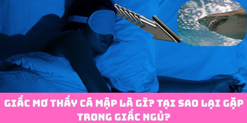 Mơ Thấy Cá Mập: Có Ý Nghĩa Gì, Vì Sao Xảy Ra?