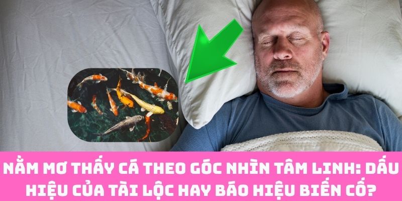 Nằm Mơ Thấy Cá: Tài Lộc Gõ Cửa Hay Biến Cố Cận Kề?