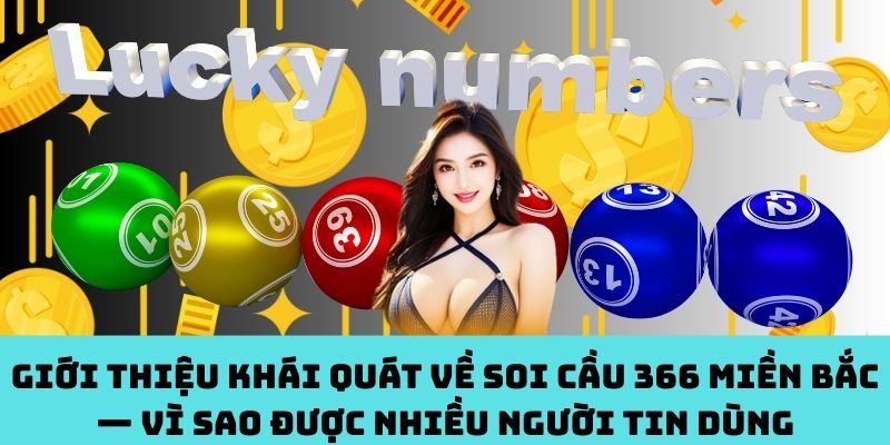 Bắt sóng Soi Cầu 366 MB – Vì sao hot rần rần?